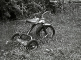 A Tricycle Missing Handlebars in Summer Grass Photographie par Brian Gordon Green