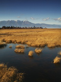 A Marshy Side Pool Off Lake Baikal Photographic Print by Aaron Huey