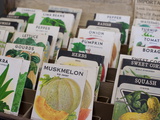 A Collection of Old Garden Seeds Photographie par Greg Dale