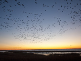 Dawn over the Atlantic Ocean Photographic Print by Karen Kasmauski