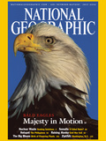 Cover of the July, 2002 Issue of National Geographic Magazine Lámina fotográfica por Norbert Rosing