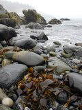 Seaweed Among Stones on a Rocky Shore with Gentle Surf Photographie par Anne Keiser