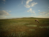 A Horse Grazing on the Edge of the Town of Pine Ridge Photographic Print by Aaron Huey