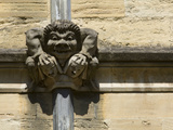 Sandstone Sculpture of a Monster Holding Female Heads, on a Wall Photographic Print by Joe Petersburger