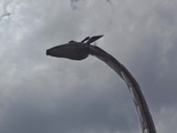 Tin Sculpture of a Giraffe Photographic Print by Beverly Joubert
