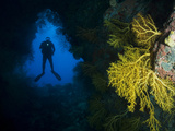 A Scuba Diver Explores a Coral Encrusted Cavern Near Viti Levu Island Photographic Print by Mauricio Handler