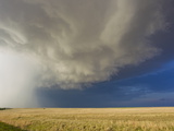 A Storm with Heavy Rain and a Hail Shaft over a Golden Field Valokuvavedos tekijänä Mike Theiss