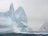 Southern Giant Petrel, Macronectes Giganteus, Flying Near an Iceberg Photographic Print by John Eastcott & Yva Momatiuk