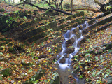 Small Stream Cascading over Stones in a Wooded Setting Photographic Print by Joe Petersburger