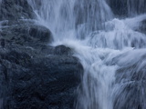 Waterfalls at Walter Sisulu Botanical Gardens Photographic Print by Beverly Joubert