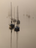 Sailboats on their Harbor Moorings, in Early Morning Fog Photographic Print by Nigel Hicks