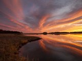Sunset over a Chesapeake Bay Shoreline Fotografisk trykk av Skip Brown