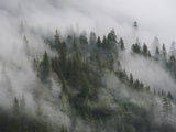 Fog Settles over Yosemite Valley Photographie par Jimmy Chin