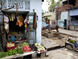 Village Life Scene with Grocery, Cattle, and Village Boy Photographic Print by Kent Kobersteen