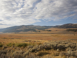 Hills and Vast Grasslands under a Cloud-Filled Sky in the Lamar Valley Photographie par Marc Moritsch