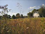 A Barn and Wildflowers in the Maple Grove Road Rural Historic District Photographie par Steve Raymer