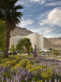 Hotels in Ein Bokek, Along the Dead Sea Photographic Print by Richard Hewitt Nowitz