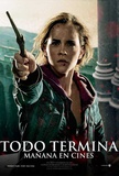 Harry Potter and the Deathly Hallows: Part II - Chilean Style Masterprint
