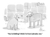 "You're kidding! I think I'm from Labrador, too." - Cartoon Premium Giclee Print by Leo Cullum