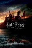 Harry Potter and the Deathly Hallows: Part II - Brazilian Style Masterprint