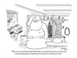 "Those were some pretty nasty headwinds over Connecticut, but you know, th…" - New Yorker Cartoon Premium Giclee Print by Mark Thompson