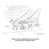 "Where in the Constitution does it say we have to always be on a damned le…" - Cartoon Premium Giclee Print by Mick Stevens