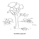 "Act-of-God, or pussy cat?" - Cartoon Premium Giclee Print by Liza Donnelly