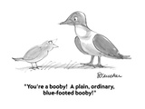 "You're a booby!  A plain, ordinary, blue-footed booby!" - Cartoon Premium Giclee Print by Boris Drucker