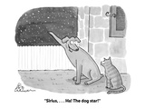 "Sirius, . . . Ha! The dog star!" - Cartoon Premium Giclee Print by Leo Cullum