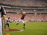 NFC Championship Football: Glendale, ARIZONA - Larry Fitzgerald Photographic Print by Mark J. Terrill