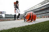 Steelers Bengals Football: Cincinnati, OH - Cedric Benson Photographic Print by Ed Reinke