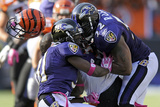 Bengals Ravens Football: Baltimore, MD - Ray Lewis Photographie par Nick Wass