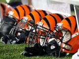 Bengals Patriots Football: Foxborough, MASSACHUSETTS - Cincinnati Bengals Helmets Fotografie-Druck von Michael Dwyer