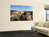 U.S. Marines Participate in a known Distance Sniper Training Course Wall Mural by Stocktrek Images 