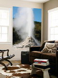Lady Knox Geyser, Wai-O-Tapu Geothermal Area, Taupo Volcanic Zone, New Zealand Wall Mural by Stocktrek Images 