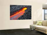 Lava Flowing from Small Tunnel on Flank of Pacaya Volcano, Guatemala Wall Mural by Stocktrek Images 