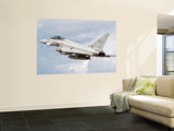 An Italian Air Force Eurofighter Typhoon Wall Mural by Stocktrek Images 