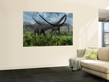 Two Giant Diplodocus Herbivore Dinosaurs Grazing During the Jurassic Period on Earth Wall Mural by Stocktrek Images 