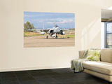 An F-15D Baz of the Israeli Air Force Wall Mural by Stocktrek Images 