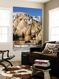 Cleopatra Terrace, Mammoth Hot Springs Geothermal Area, Yellowstone National Park, Wyoming Wall Mural by Stocktrek Images 