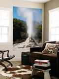 Lady Knox Geyser Erupting, Wai-O-Tapu Geothermal Area, Taupo Volcanic Zone, New Zealand Wall Mural by Stocktrek Images 