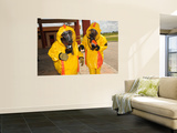 Firefighters Dressed in Hazmat Suits Mural por Stocktrek Images
