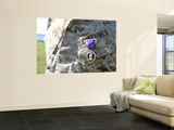 The Purple Heart Award Hangs over the Heart of a U.S. Marine Mural por Stocktrek Images