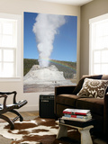 Castle Geyser Eruption, Upper Geyser Basin Geothermal Area, Yellowstone National Park, Wyoming Wall Mural by Stocktrek Images 
