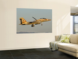 An Israeli Air Force F-15I Ra'Am Wall Mural by Stocktrek Images 