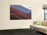 Lava Flow During Eruption of Mount Etna Volcano, Sicily, Italy Wall Mural by Stocktrek Images 