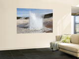 Plume Geyser Eruption, Upper Geyser Basin Geothermal Area, Yellowstone National Park, Wyoming Wall Mural by Stocktrek Images 