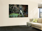 A British Army Sniper Team Dressed in Ghillie Suits Wall Mural by Stocktrek Images 