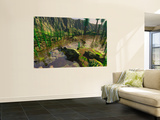 Several Bothriolepis Emerge from a Shallow Tributary onto Dry Land Mural por Stocktrek Images Several Bothriolepis Emerge from a Shallow Tributary onto Dry Land Mural por Stocktrek Images