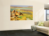 Potassium Salt Deposits, Dallol Geothermal Area, Danakil Depression, Ethiopia Wall Mural by Stocktrek Images 